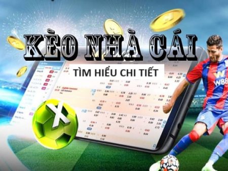 Sự thật không ngờ bên trong tiệm game bắn cá ở Tiền Giang