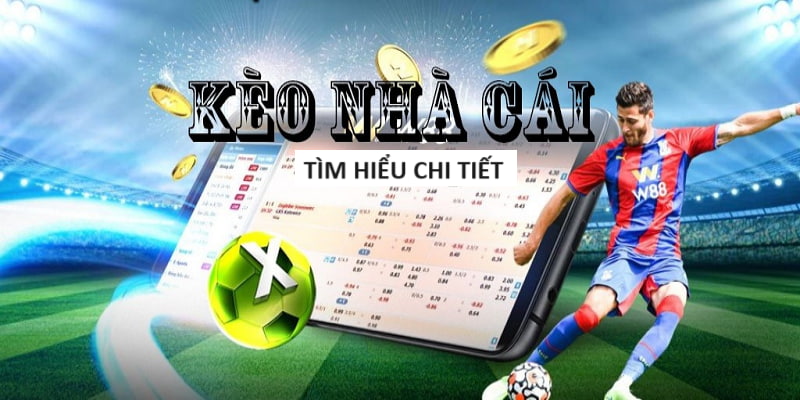 Sự thật không ngờ bên trong tiệm game bắn cá ở Tiền Giang